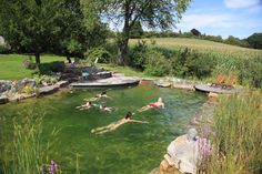 several people are swimming in a pond surrounded by rocks