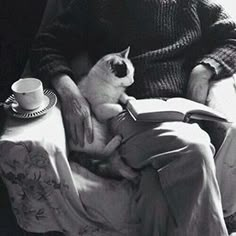 a person sitting in a chair with a cat on their lap and a book open