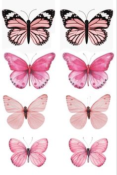 pink butterflies with different shapes and sizes