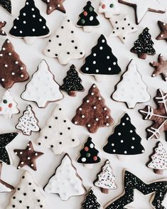 christmas cookies decorated with black and white polka dots are arranged in rows on a table