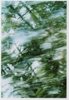 blurry photograph of trees and sky taken from inside the window with no one in sight