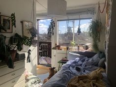 a bed room with a neatly made bed and lots of plants on the windowsill