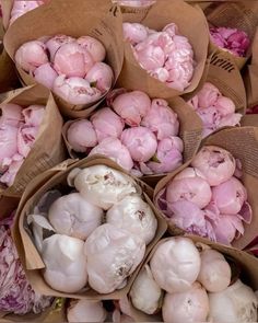 bunches of pink flowers are in paper bags