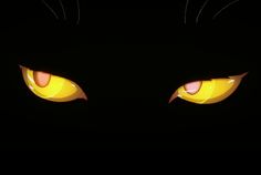 the eyes of a black cat with glowing yellow eyes