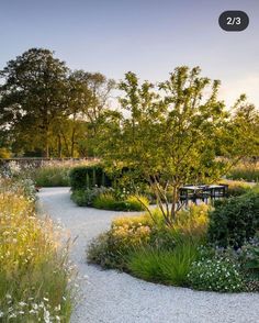 an outdoor garden with gravel path and trees in the background, surrounded by plants and flowers