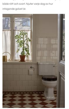 a white toilet sitting next to a window with a potted plant on top of it