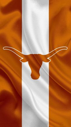 the flag of texas is shown in this image with silky folds and lines on it