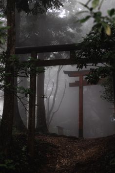 a wooden cross in the middle of a forest on a foggy day with trees