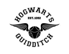 harry's quidditch logo with wings on the front and back of it