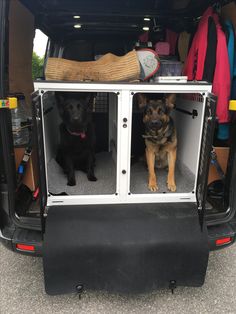 two dogs sitting in the back of a van with its doors open and one is looking at the camera