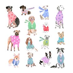 a group of dogs wearing sweaters and pajamas