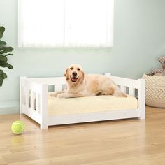 a dog laying on top of a wooden bed next to a tennis ball and potted plant