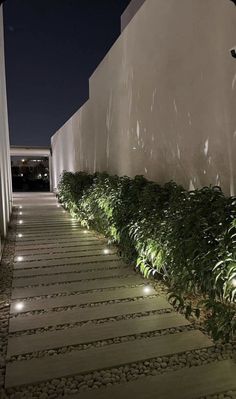 the walkway is lined with plants and lit up by lights on either side of the building