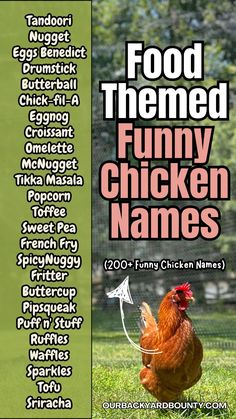 the front cover of food themed funny chicken names, with an image of a hen on it