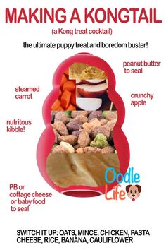 a poster with instructions for making a kong - oatmeal and other treats