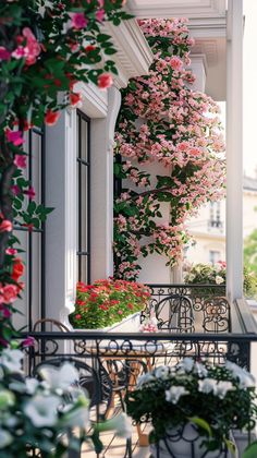 pink flowers are growing on the side of a building with balcony railings and potted plants