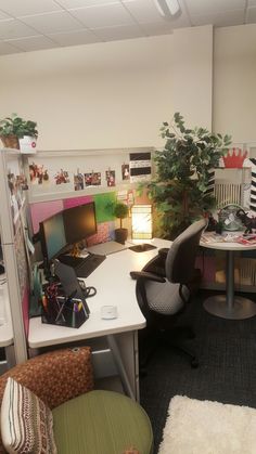 an office cubicle with two computer desks, chairs and a potted plant