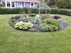 a circular garden bed in the middle of a lawn with flowers and shrubs around it