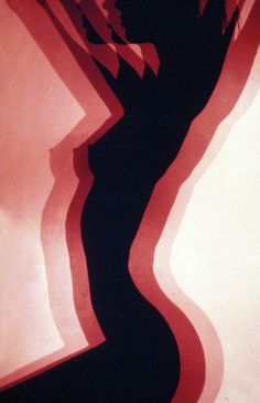 the shadow of a woman in a long black dress is shown against a pink wall