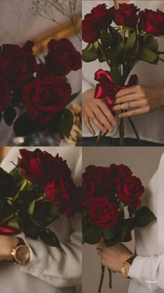 the woman is holding red roses in her hands