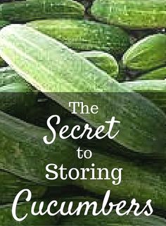 the secret to storing cucumbers