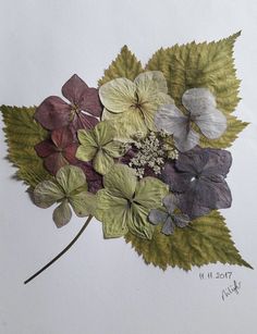 a painting of leaves and flowers on a white background