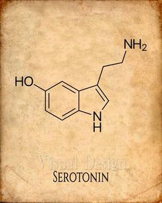 the structure of serotonin is shown on an old parchment paper with black ink