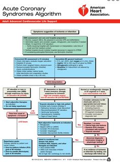 the flow diagram for acutee company syndromes algontim, with instructions