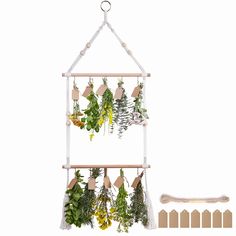 the hanging planter is filled with herbs