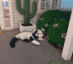 a stuffed animal laying on the ground in front of a house with cactus and flowers