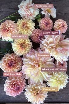 a bunch of different types of flowers on a wooden surface with the names of each flower