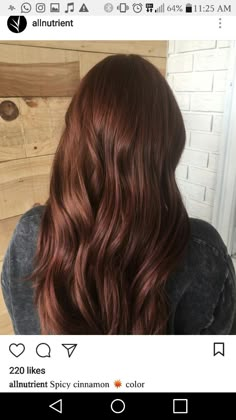 Cinnamon Hair Aesthetic, Best Brunette Hair Color For Fair Skin, Chestnut Brown Hair With Red Undertone, Auburn Curly Hair Color, Russet Brown Hair, Chestnut Hair Color Dark, Dark Brown Copper Hair Color, Auburn Aesthetic, Dark Brown Auburn Hair