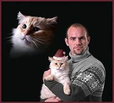 Awkward Family Christmas, Promo Flyer, Family Holiday Cards, Cat Hug, Alexander Skarsgård, Family Christmas Cards, Alexander Skarsgard