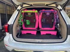 two pink cages are in the back of a car