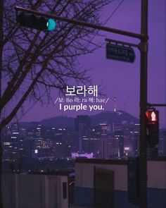 a cityscape with the words i purple you written in korean