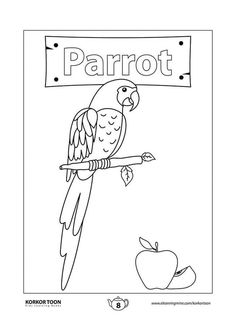 a parrot sitting on top of a branch with an apple in front of it and the word parrot