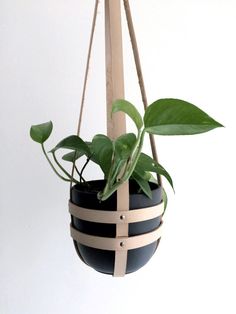 a potted plant hanging from a wooden pole with leather straps on the top and bottom