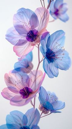 some blue and pink flowers are in the air with one flower still attached to it