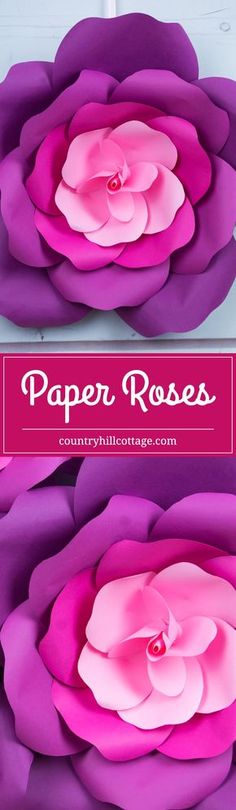 paper flowers with the words paper roses written on them in pink and purple colors,