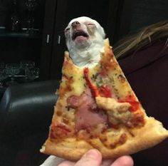 a person holding up a piece of pizza with a dog's face on it