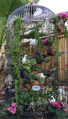 a birdcage filled with lots of plants and flowers