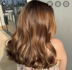 Hair Color Brown Chestnut, Chestnut Brown Hair, Reddish Brown Hair, Chestnut Hair, Chestnut Hair Color, Honey Brown Hair, Hair Color Auburn, Chestnut Brown, Hair Inspiration Color