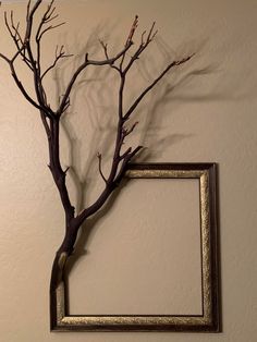 a bare tree with no leaves in front of a white wall and a gold frame hanging on the wall