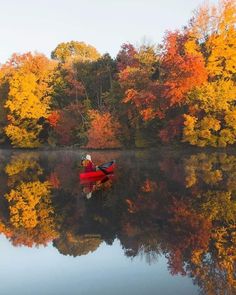 a red canoe floating on top of a lake surrounded by trees with fall foliage in the background