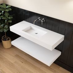 a bathroom sink sitting on top of a white counter next to a potted plant