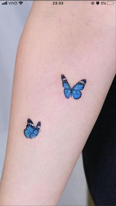 two blue butterflies on the arm