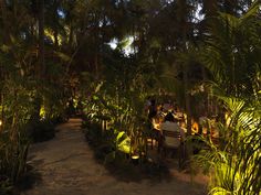 an outdoor dining area is lit up with lights and greenery on the tables, along with palm trees