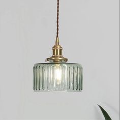 a glass light hanging from a ceiling fixture with a cord in front of it and a potted plant on the other side