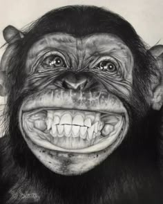 a black and white drawing of a monkey with big, smiling teeth on his face