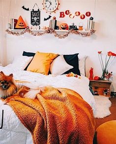 a dog laying on top of a bed under a blanket next to a wall mounted clock